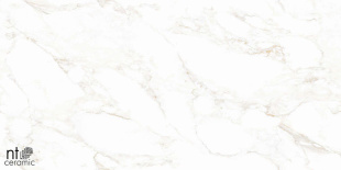 Керамогранит NT Ceramic Marmo Marble Extra Endless Mat арт. NTT99526M (60x120) матовый